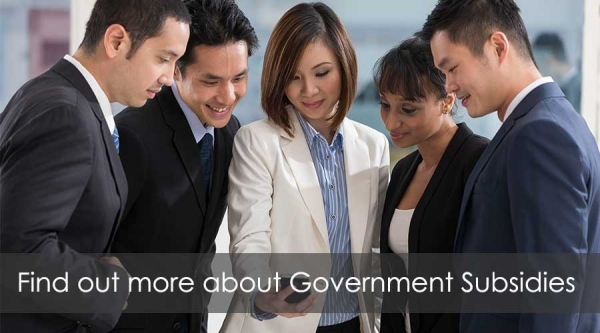 Find out more about Government Subsidies