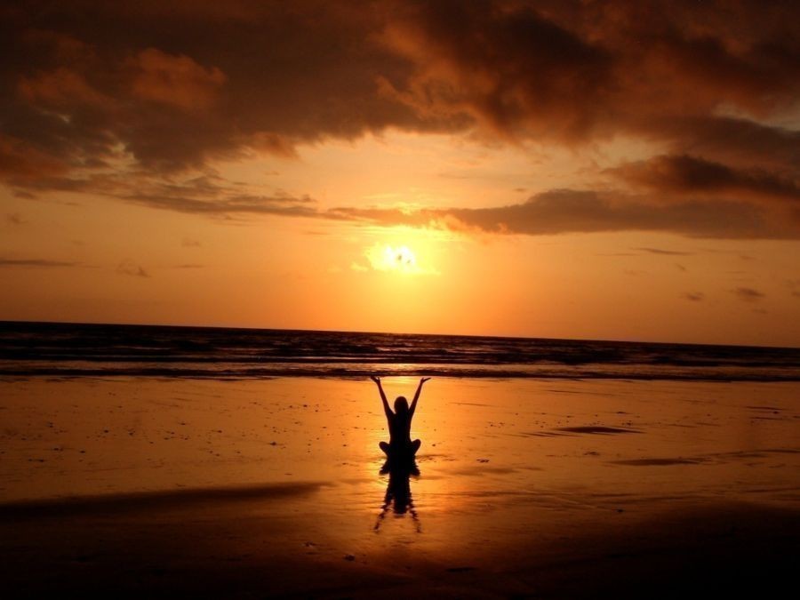 Wellness Day: Learning To Improve Your Mind And Your Body