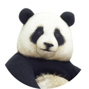 Wenjie Wang